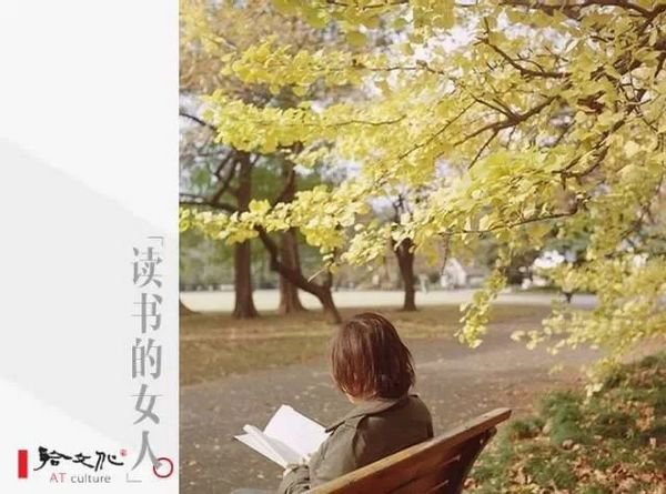 读书的女人最美丽