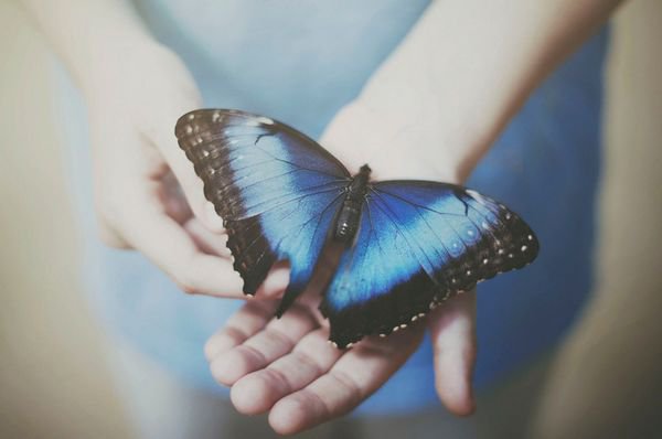 什么叫做情商低?