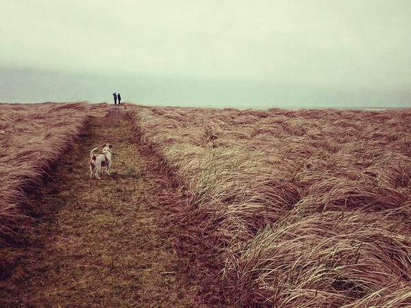 毕淑敏:你要好好爱自己