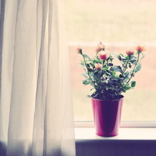 教养,就是不管你的出身和背景,你都可以选择做个更好的人