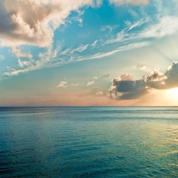 莫言:面向太阳,不问春暖花开