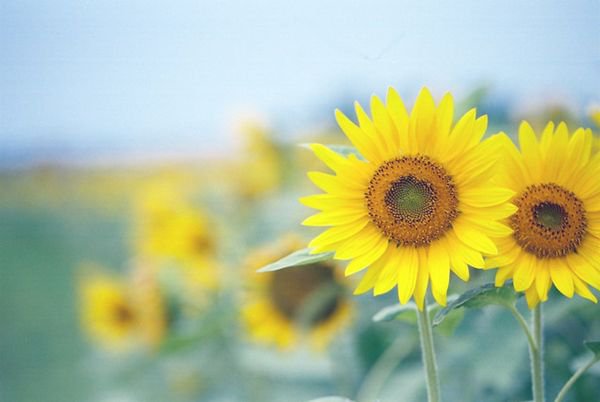 当你晒朋友圈时,你在晒什么?