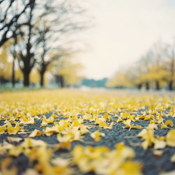 世界那么大,到哪儿都一样