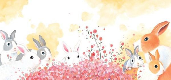 最催泪的段子手,最温暖的女神