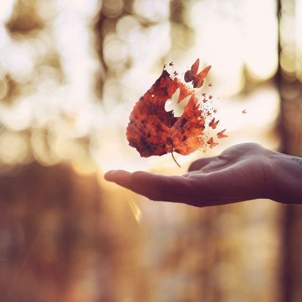 有哪些有用的人际交往小常识?