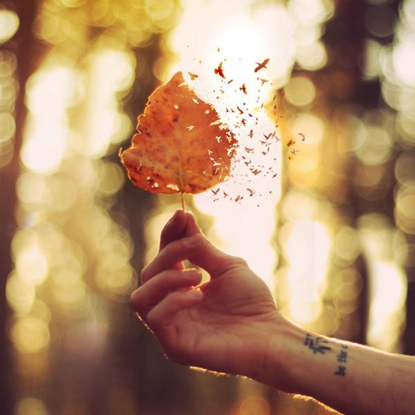 有哪些有用的人际交往小常识?