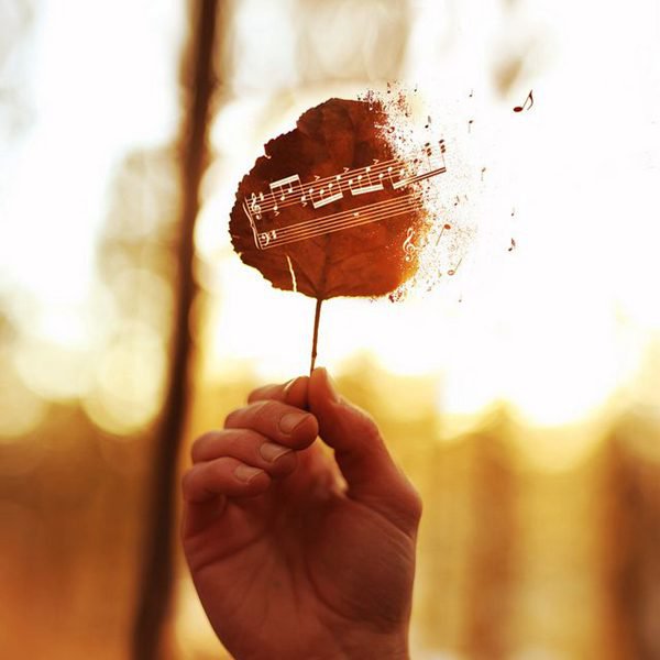 有哪些有用的人际交往小常识?