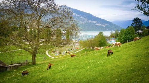 晚安心语:不要只因一次挫败就迷失了最初想抵达的远方