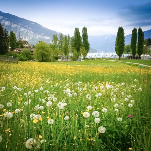 晚安心语:不要只因一次挫败就迷失了最初想抵达的远方