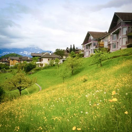 晚安心语:不要只因一次挫败就迷失了最初想抵达的远方