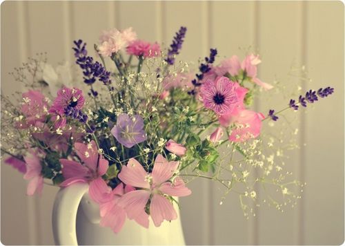 早安心语:化雪总比下雪冷,结束总比开始疼