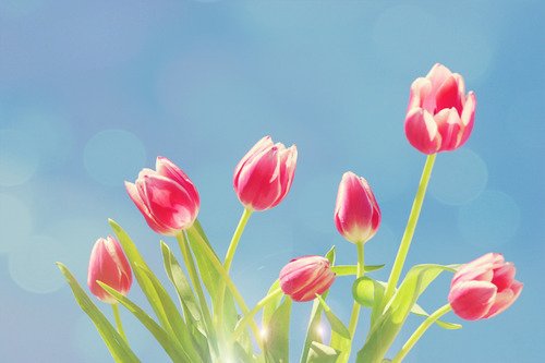 早安心语:化雪总比下雪冷,结束总比开始疼