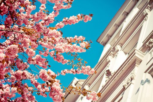 早安心语:化雪总比下雪冷,结束总比开始疼