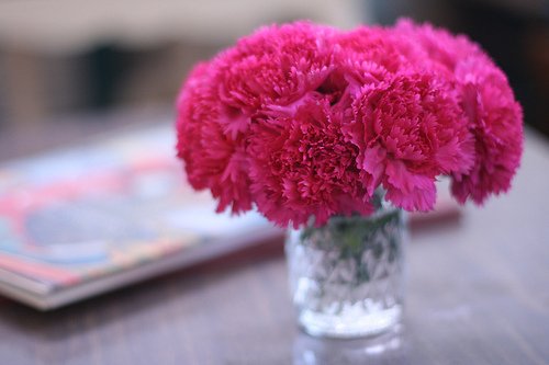 早安心语:化雪总比下雪冷,结束总比开始疼