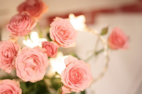 早安心语:化雪总比下雪冷,结束总比开始疼