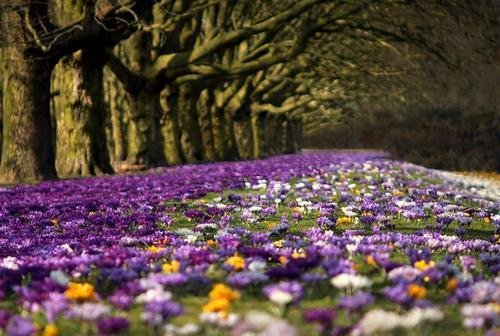 早安心语:化雪总比下雪冷,结束总比开始疼