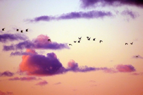 早安心语:我不想谋生,我想生活