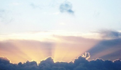 早安心语:我不想谋生,我想生活