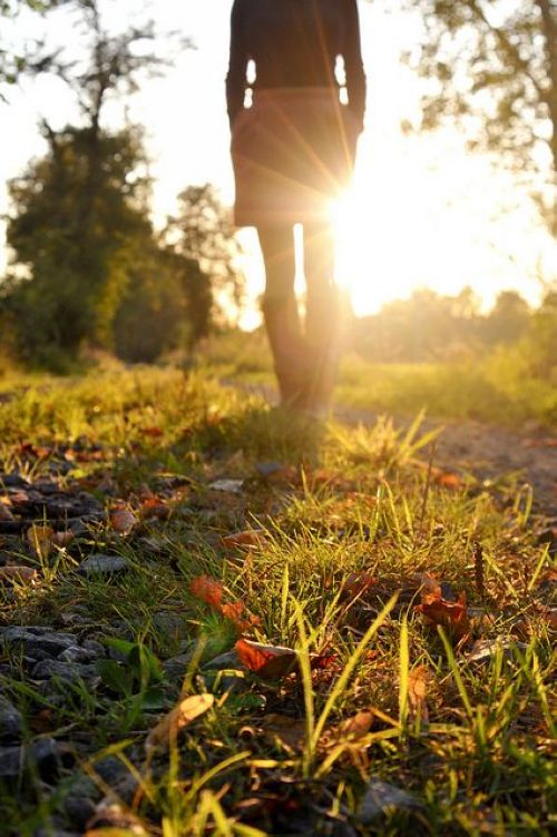 晚安心语:我们都走了太远,没人愿意回头看