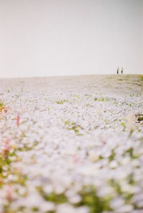 晚安心语:我们都走了太远,没人愿意回头看