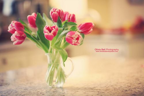 晚安心语:人生再绝望,也可以留下来,慢慢欣赏