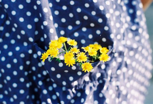 晚安心语:人生再绝望,也可以留下来,慢慢欣赏