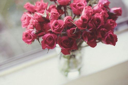 晚安心语:人生再绝望,也可以留下来,慢慢欣赏