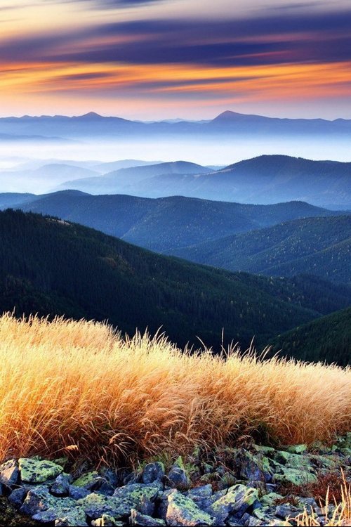 晚安心语：祝你早日攒够失望，然后，开始新的生活