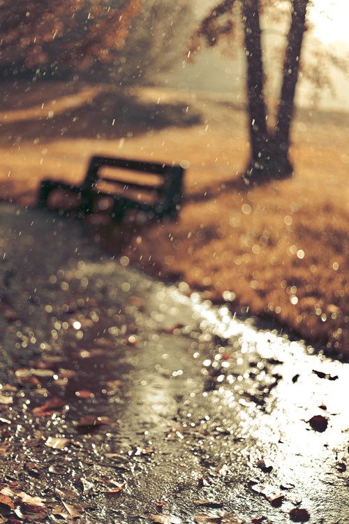 晚安心语：祝你早日攒够失望，然后，开始新的生活