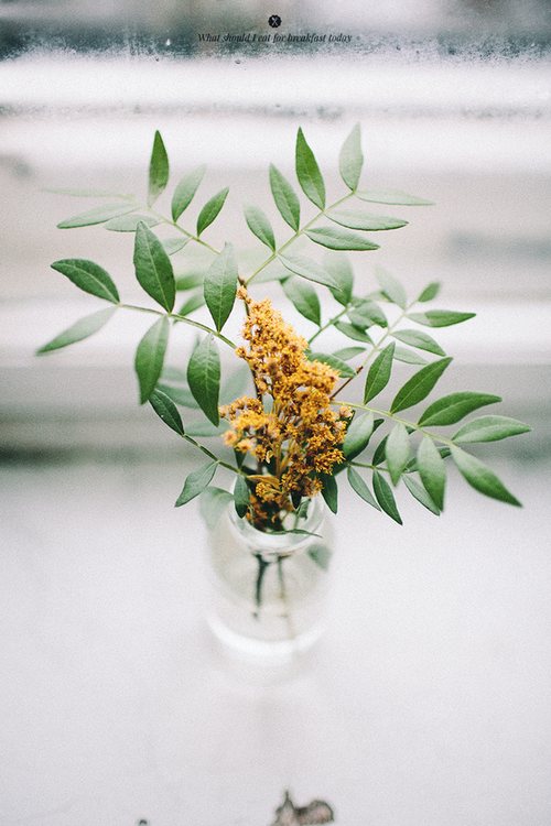 晚安心语：祝你早日攒够失望，然后，开始新的生活