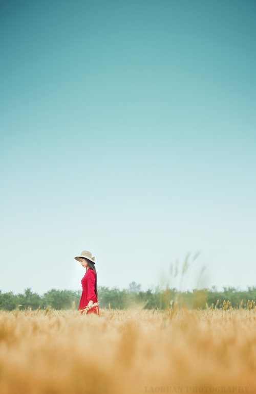 早安心语:正是孤独让你变得出众,而不是合群