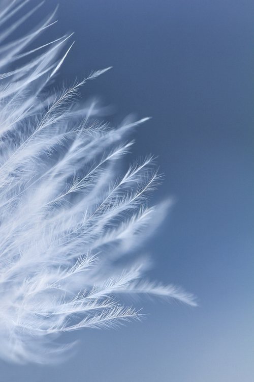 早安心语:正是孤独让你变得出众,而不是合群