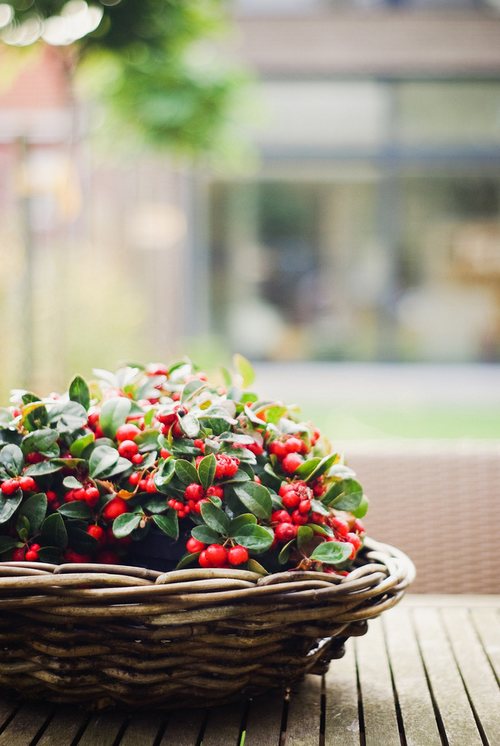 晚安心语:你陪着我的时候,我从没羡慕过任何人