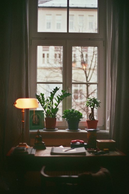 晚安心语:你陪着我的时候,我从没羡慕过任何人