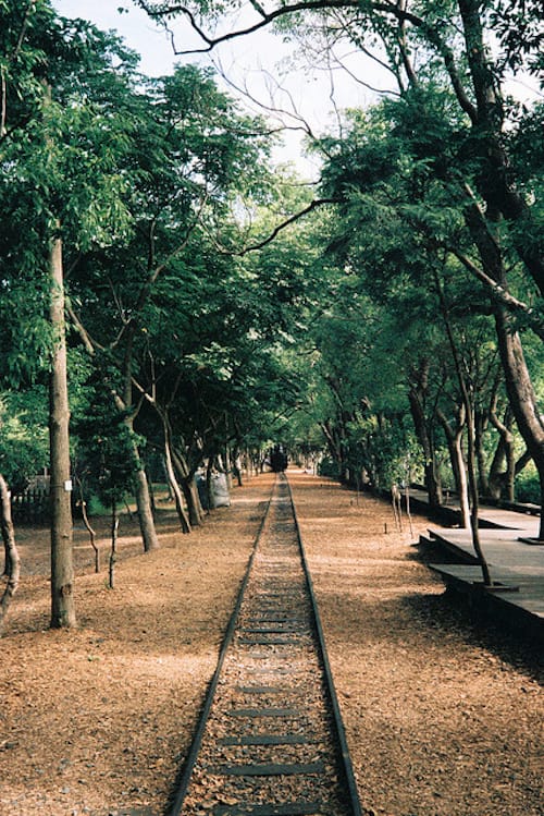 早安心语:深深的话我们浅浅地说,长长的路我们慢慢地走