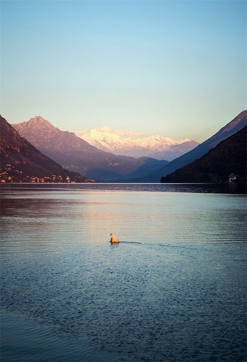早安心语:如果你不努力,一年后的你还是原来的你