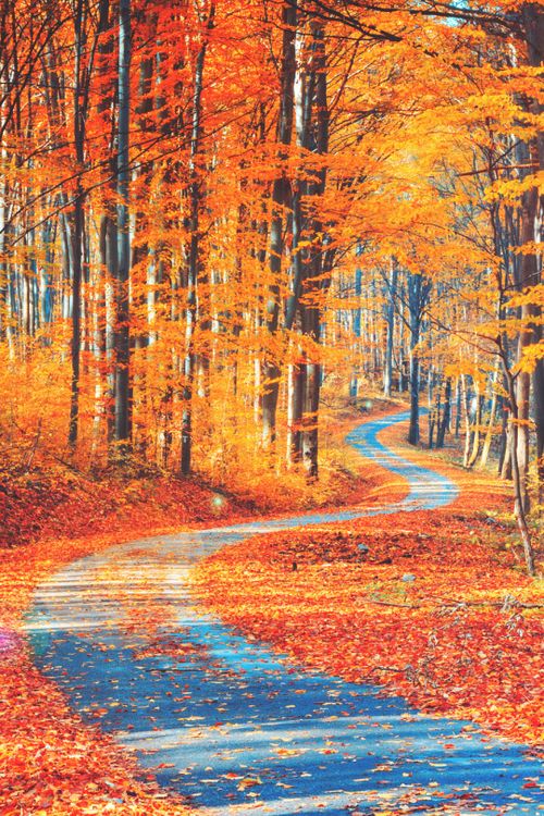 晚安心语:管好自己的嘴巴,是最大的修行