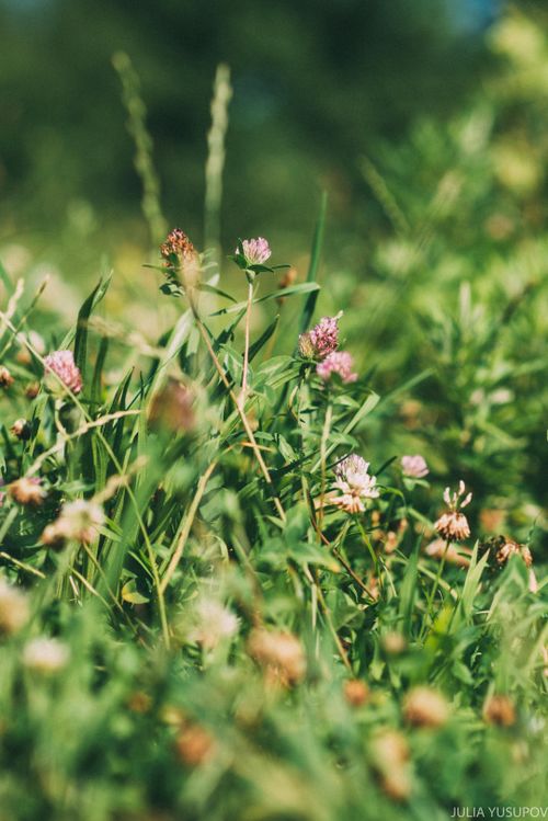 晚安心语:管好自己的嘴巴,是最大的修行