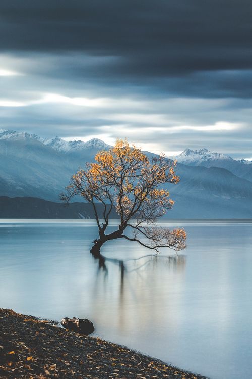 晚安心语:管好自己的嘴巴,是最大的修行