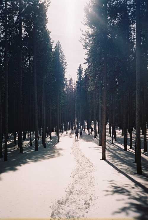 晚安心语:倔犟的像块石头,心却软得像块豆腐