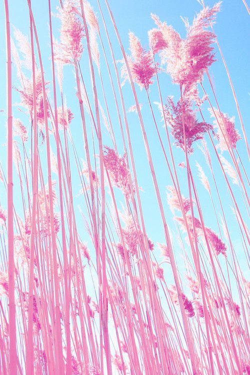 晚安心语:倔犟的像块石头,心却软得像块豆腐