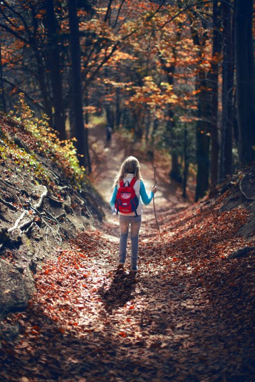 晚安心语:倔犟的像块石头,心却软得像块豆腐