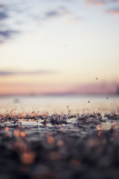 早安心语:这个世界聪明人太多,肯下笨功夫的人太少