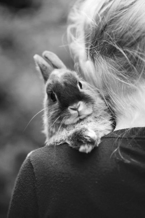 早安心语:别怕美好的一切消失,咱们先来让它存在