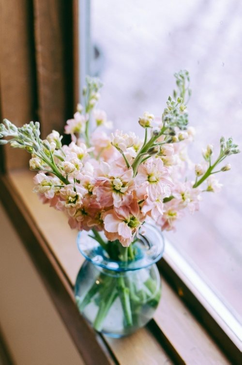 早安心语:别怕美好的一切消失,咱们先来让它存在