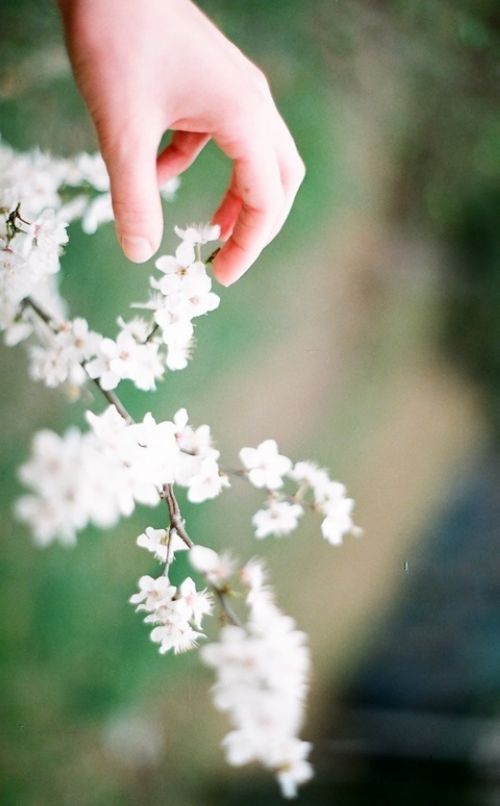 晚安心语:喜欢是新鲜感,而爱是归属感