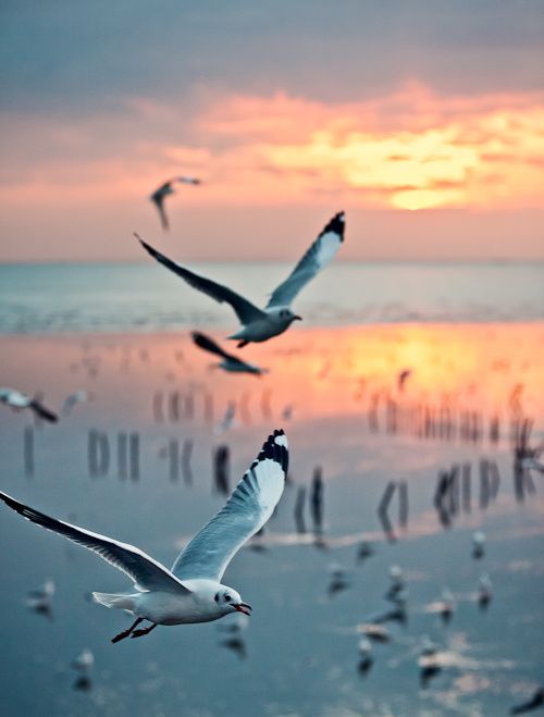 晚安心语:喜欢是新鲜感,而爱是归属感