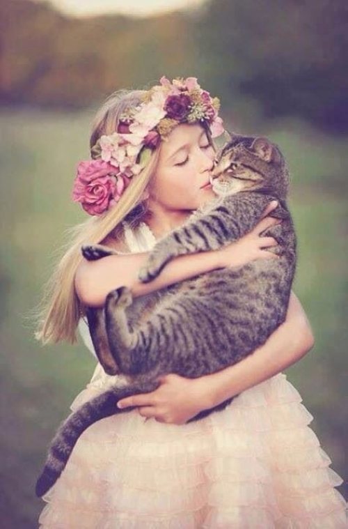 晚安心语:你是谁,就会遇到谁