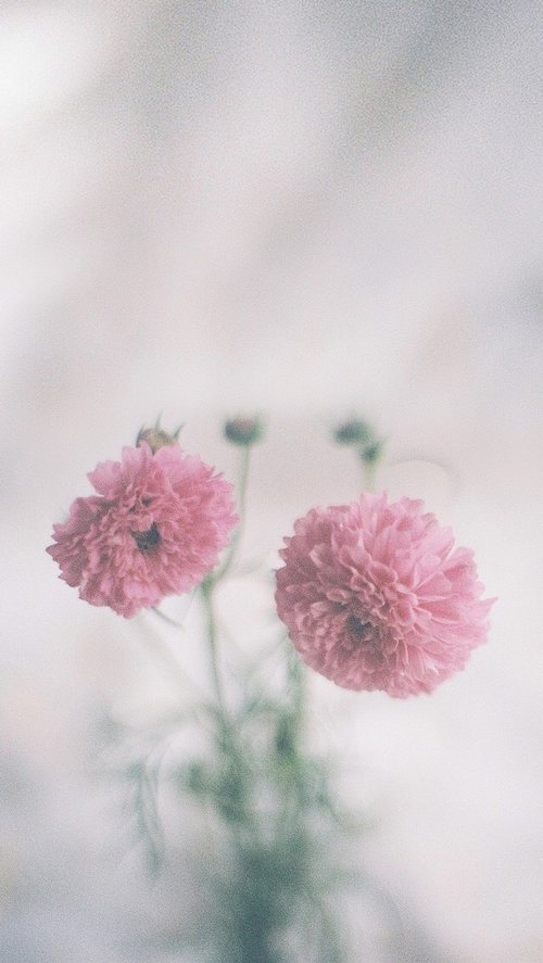 晚安心语:你是谁,就会遇到谁