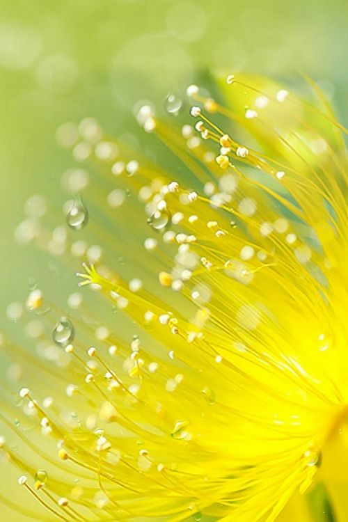 早安心语:其实你是活给自己看的,没有多少人能够把你留在心上